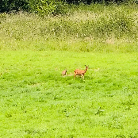 La Vallee Du Paradis Avec Balneotherapie En Campagne Apartamento