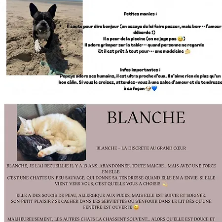 La Vallee Du Paradis Avec Balneotherapie En Campagne Apartamento