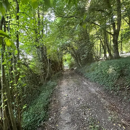La Vallee Du Paradis Avec Balneotherapie En Campagne * Alette