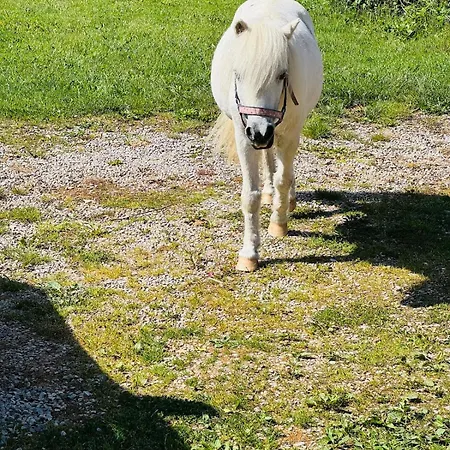 Apartamento La Vallee Du Paradis Avec Balneotherapie En Campagne *