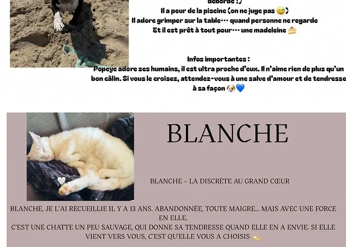 La Vallée Du Paradis Avec Balnéothérapie En Campagne Appartement
