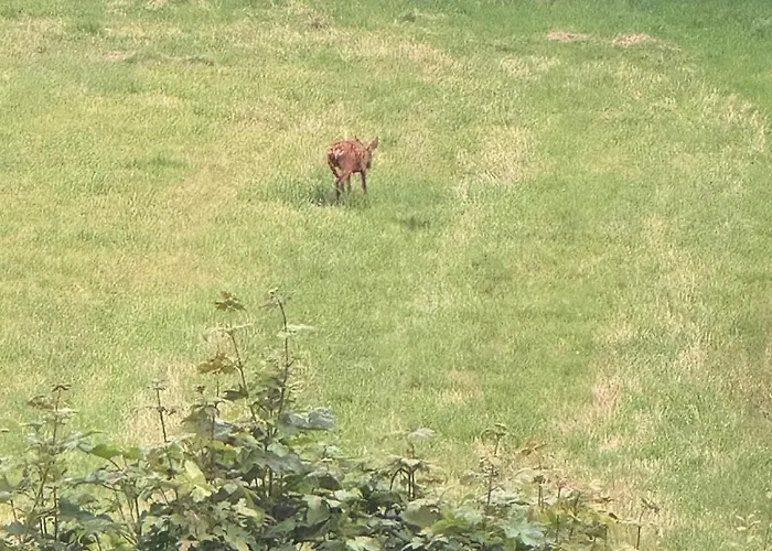 Appartement La Vallée Du Paradis Avec Balnéothérapie En Campagne