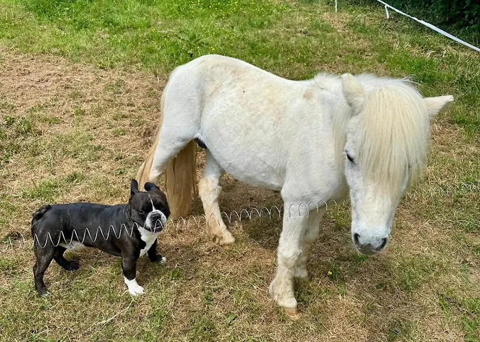 Appartement La Vallée Du Paradis Avec Balnéothérapie En Campagne Alette