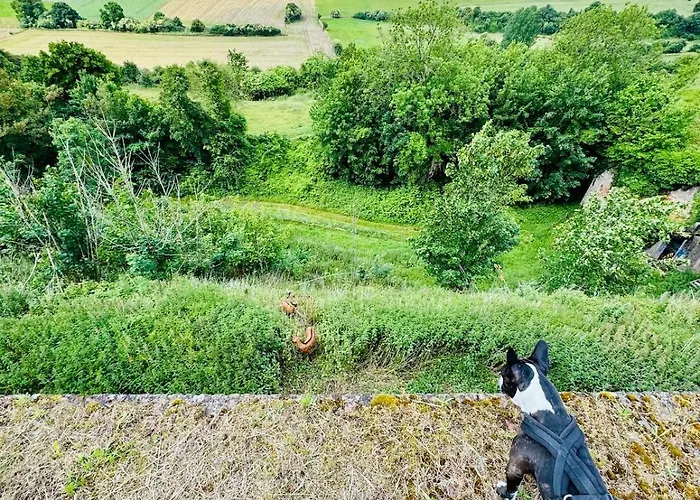 La Vallée Du Paradis Avec Balnéothérapie En Campagne