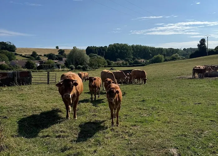 La Vallée Du Paradis Avec Balnéothérapie En Campagne Appartement